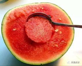 做回真正的吃瓜