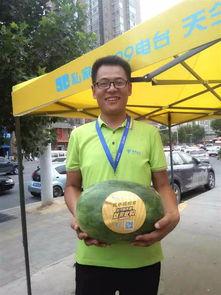 徐媛郑州吃瓜,徐媛的“吃瓜”探秘记