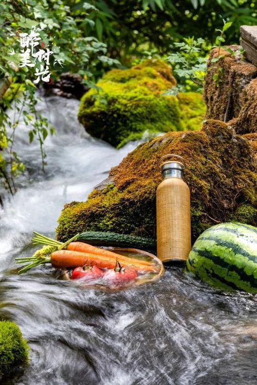 吃瓜网云南丽江,瓜田里的古城风情