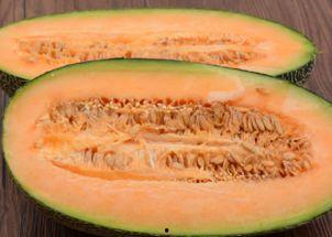 减脂可以吃哈密瓜不含糖,哈密瓜助力健康减脂之旅