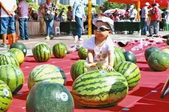 带你吃瓜比赛,带你领略“吃瓜大赛”的欢乐盛宴