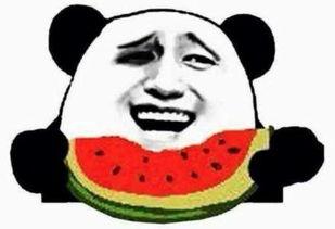 吃瓜群众爱吃瓜六六六,揭秘“爱吃瓜六六六”现象背后的秘密