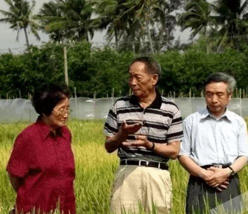 吃瓜王阿姨,揭秘娱乐圈幕后故事