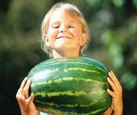 济南龙湖吃瓜事件