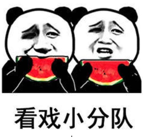 吃瓜女人表情包,揭秘网络社交中的幽默与讽刺