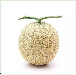 吃瓜群众树下吃瓜,揭秘娱乐圈那些不为人知的秘密