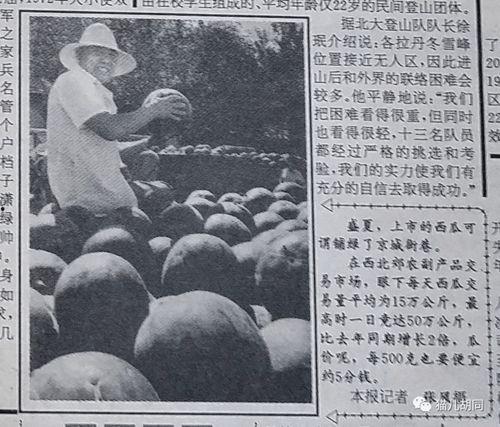 路遥吃瓜群众,吃瓜群众的视角解读人生百态