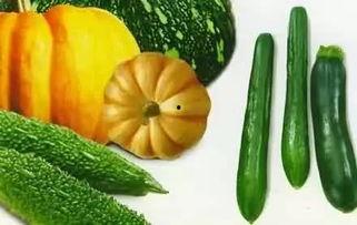 吃瓜吊死,揭秘“吃瓜吊死”背后的惊人真相