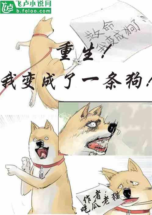 冰河吃瓜小说在线阅读,揭秘小说世界里的冰火奇缘